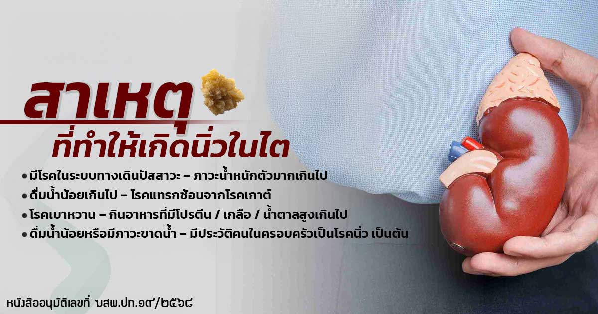 2.Kidney - ETERNITY CLINIC นพ.สืบพงษ์ เอ่งฉ้วน สาเหตุที่ทำให้เกิดนิ่วในไต ESWL