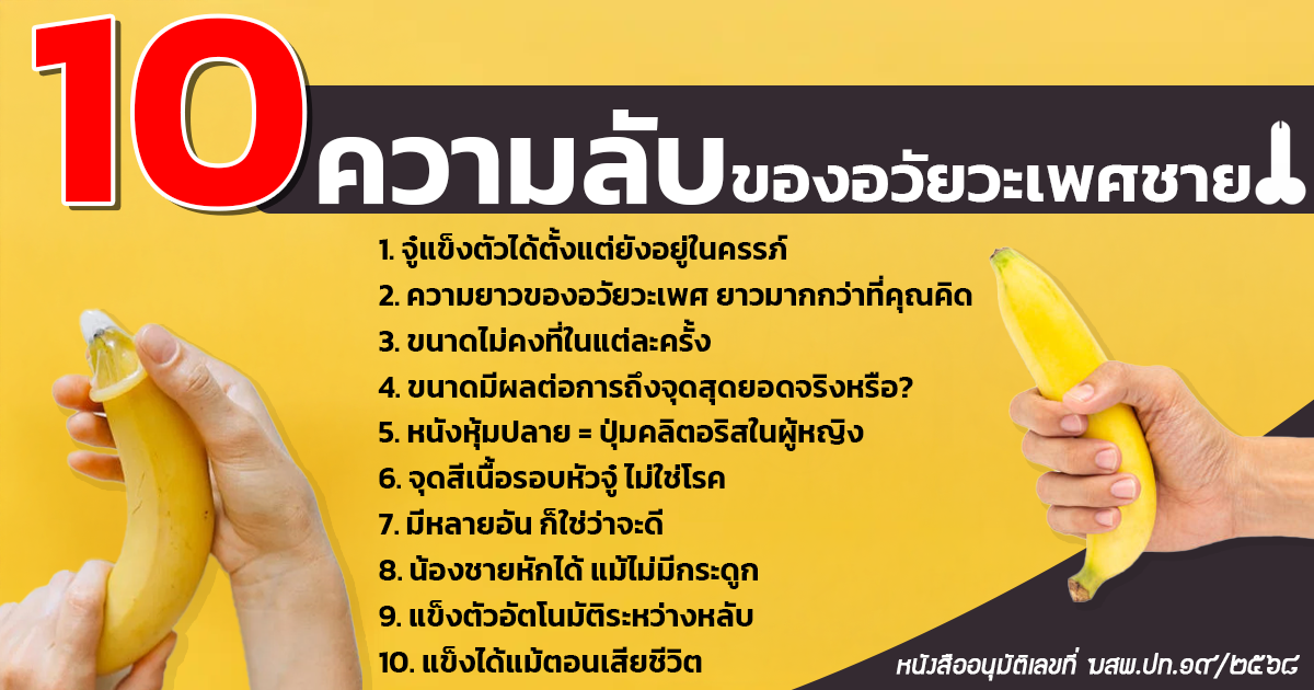 10 ความลับของอวัยวะเพศชาย