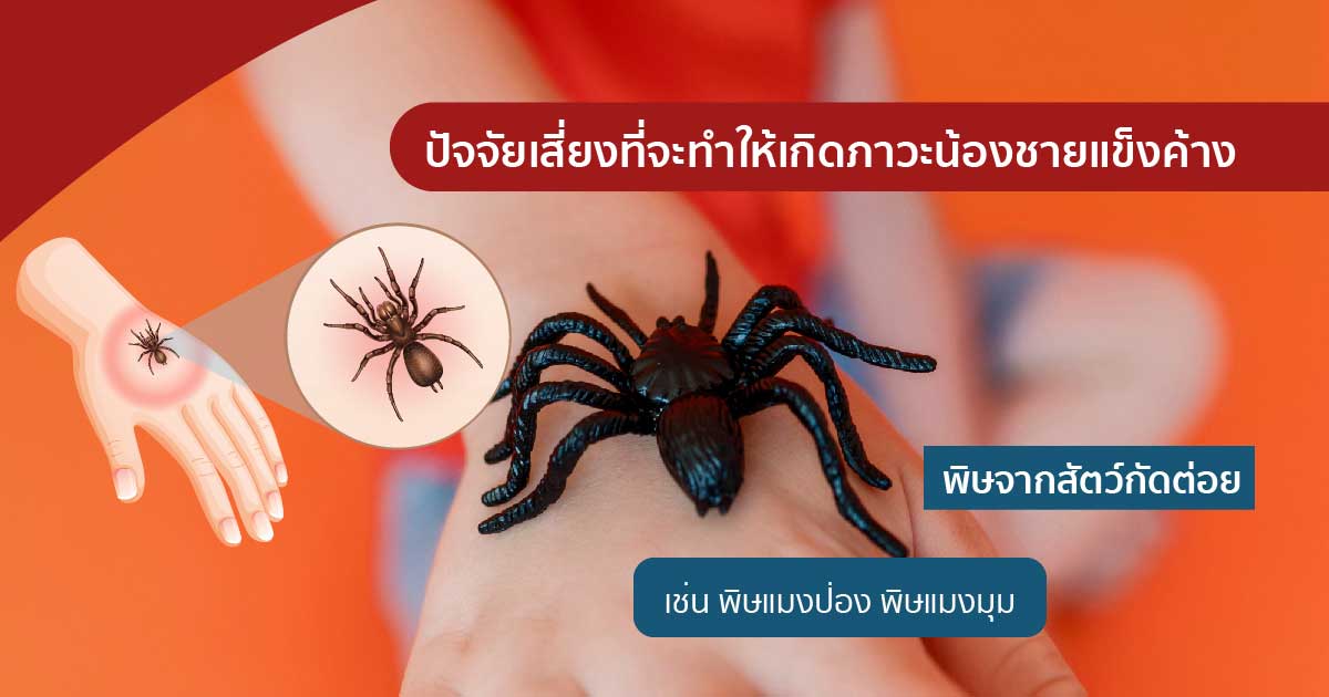 nervou - ETERNITY CLINIC นพ.สืบพงษ์ เอ่งฉ้วน องคชาตแข็งตัวนานผิดปกติ