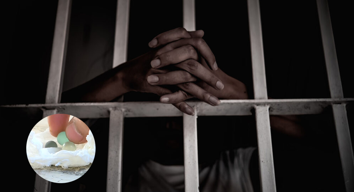 ฝังมุกในคุก: ตัวอย่างภาพประกอบแนวคิด (บทความเพื่อความรู้เรื่องความเสี่ยง)