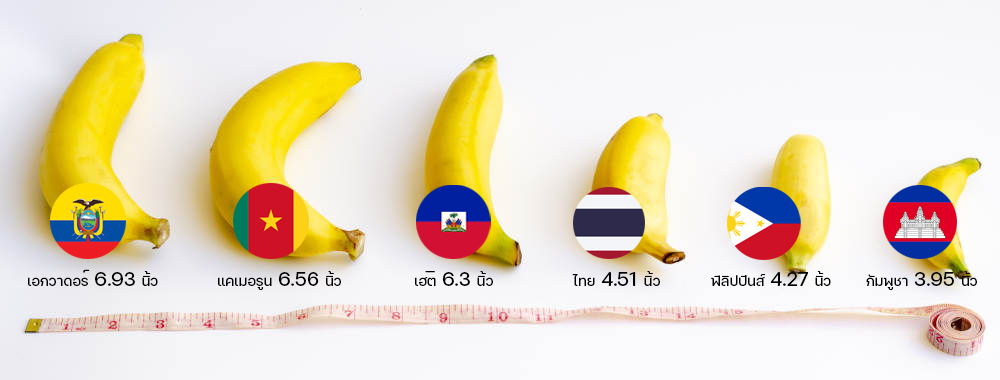ขนาดอวัยวะเพศชายและการประเมินอย่างมีเหตุผล