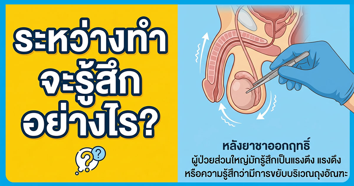 xc - ETERNITY CLINIC นพ.สืบพงษ์ เอ่งฉ้วน คุมกำเนิดถาวรชาย