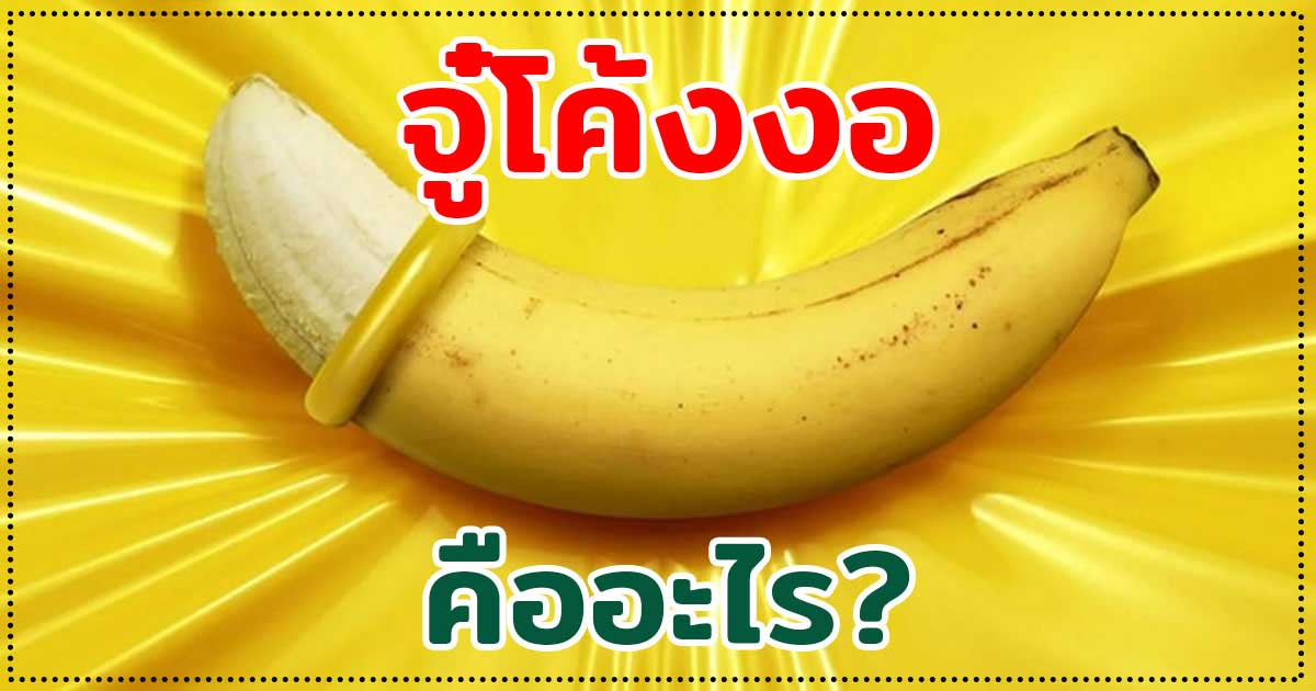 จู๋โค้งงอ