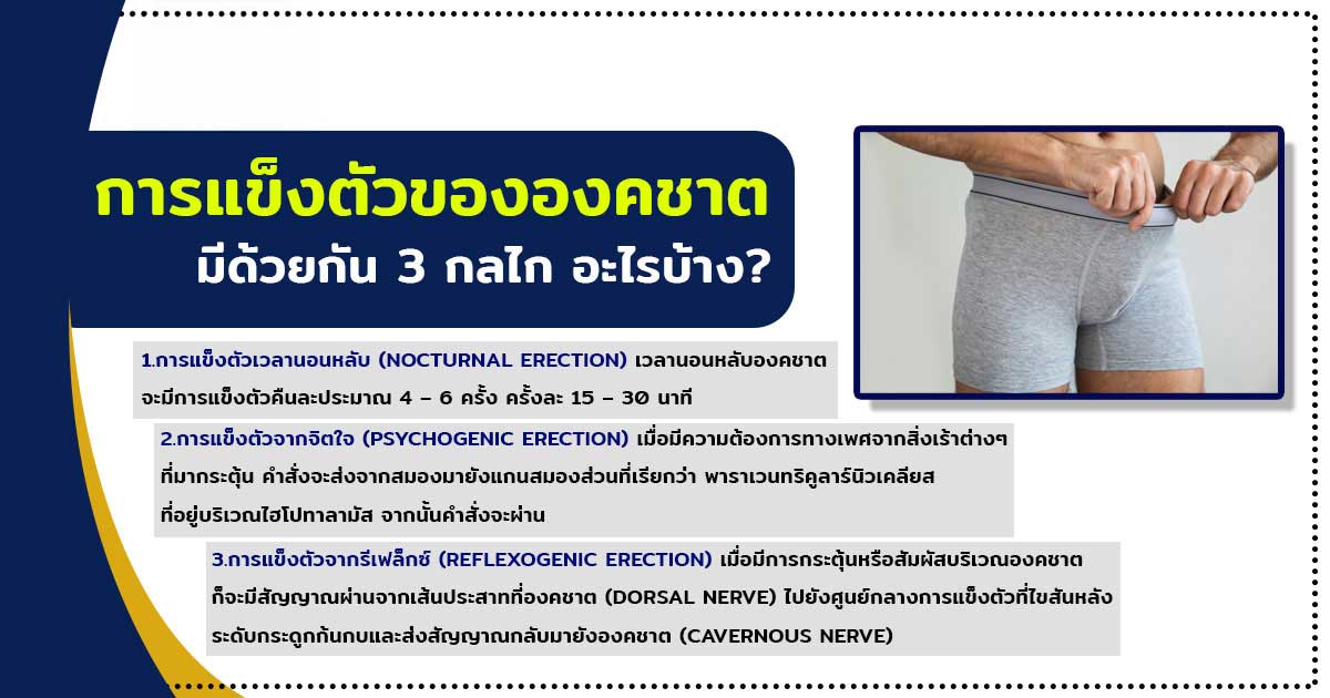 fc - ETERNITY CLINIC นพ.สืบพงษ์ เอ่งฉ้วน การแข็งตัวขององคชาต