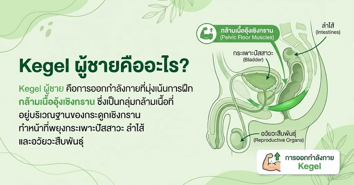 Kegel ผู้ชายคืออะไร