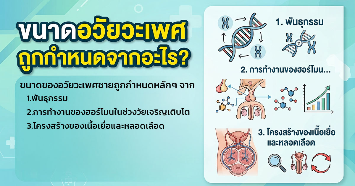 dfc - ETERNITY CLINIC นพ.สืบพงษ์ เอ่งฉ้วน ขนาดอวัยวะเพศ