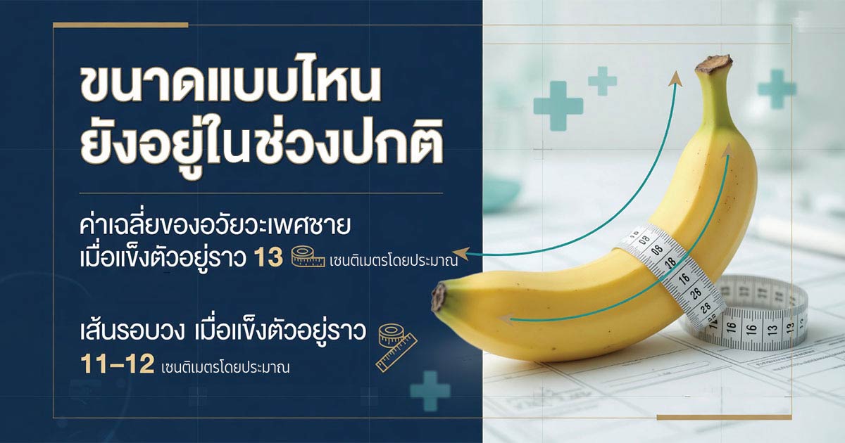 อวัยวะเพศชายสั้นกับความมั่นใจและการสื่อสารในความสัมพันธ์