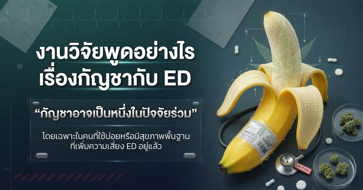 งานวิจัยเรื่องกัญชากับภาวะหย่อนสมรรถภาพทางเพศ
