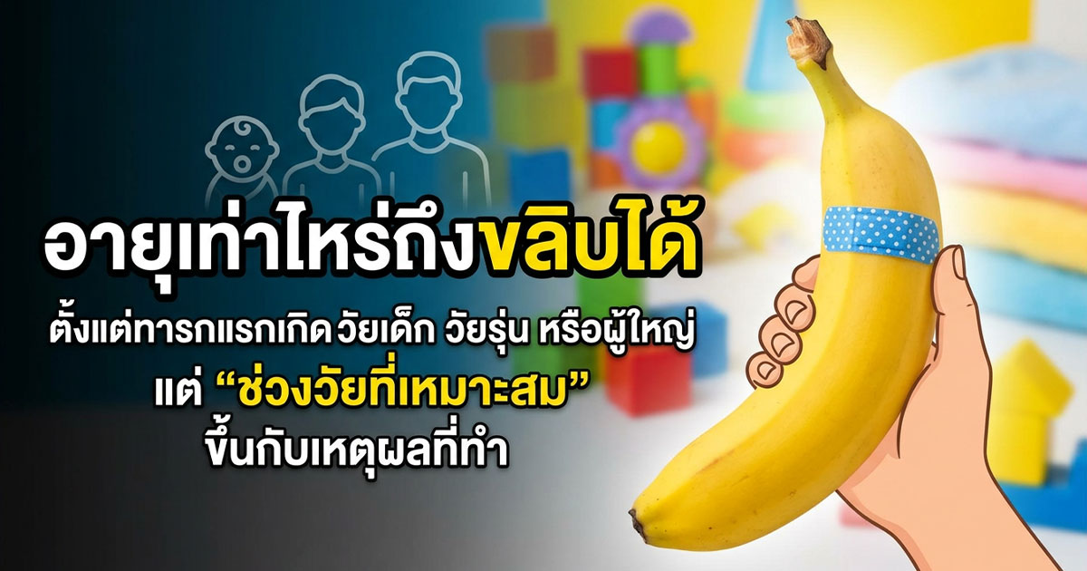 คำอธิบายรูปตามหัวข้อบทความ