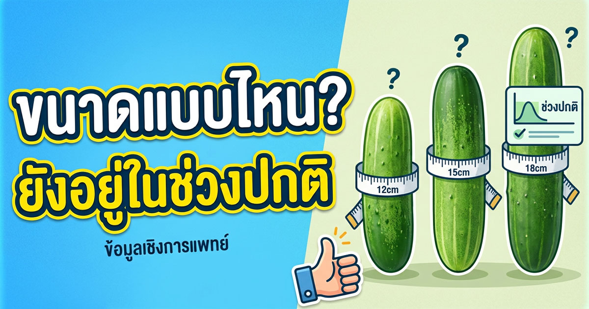 คำอธิบายรูปตามหัวข้อบทความ