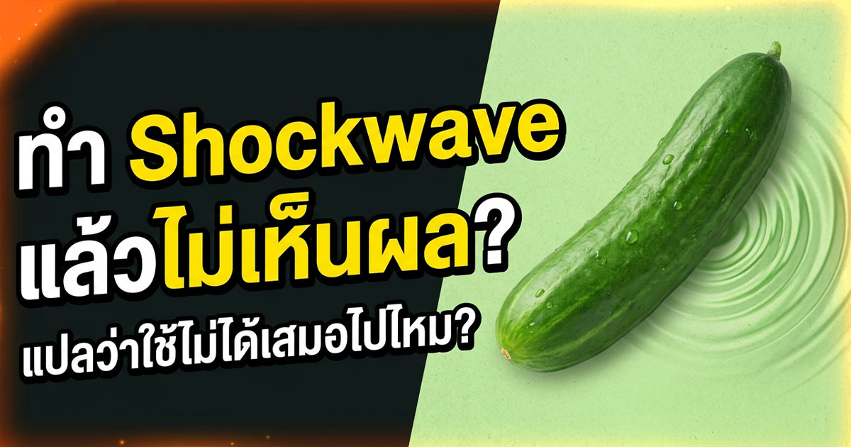 คำอธิบายรูปตามหัวข้อบทความ