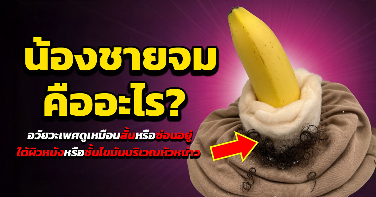 คำอธิบายรูปตามหัวข้อบทความ