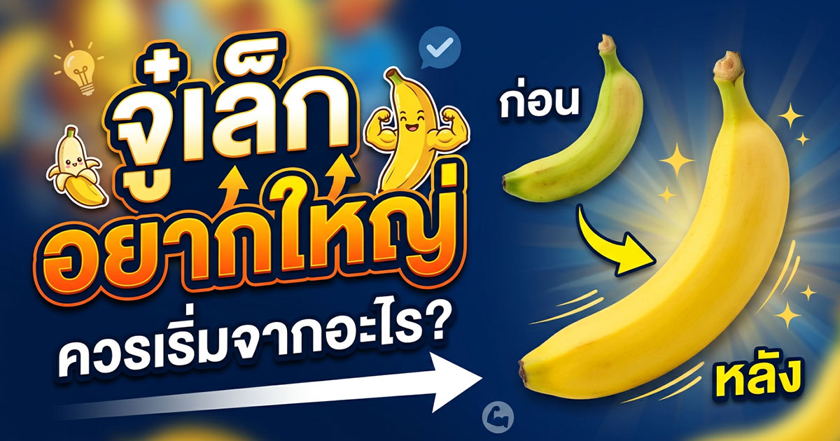 คำอธิบายรูปตามหัวข้อบทความ