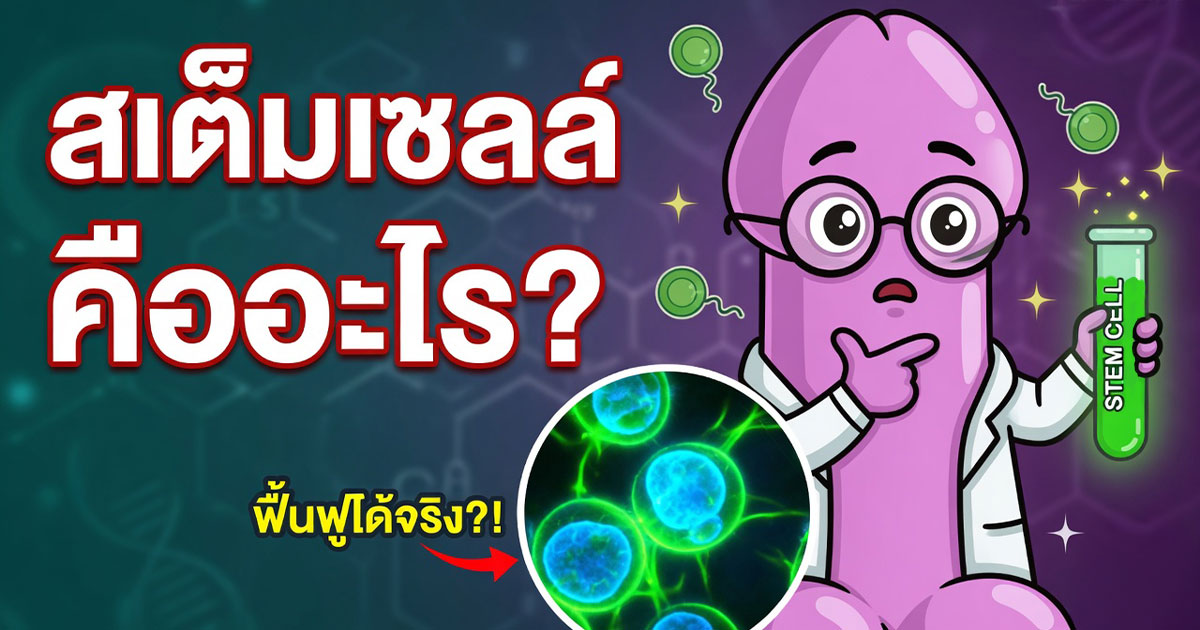คำอธิบายรูปตามหัวข้อบทความ