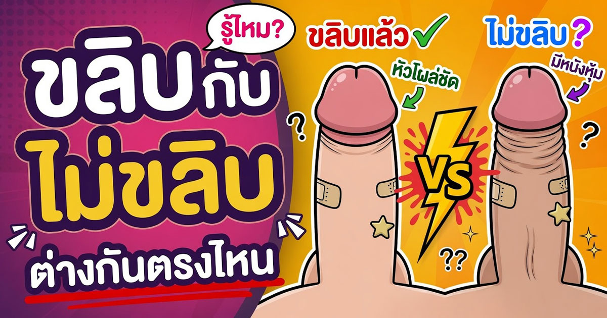 คำอธิบายรูปตามหัวข้อบทความ