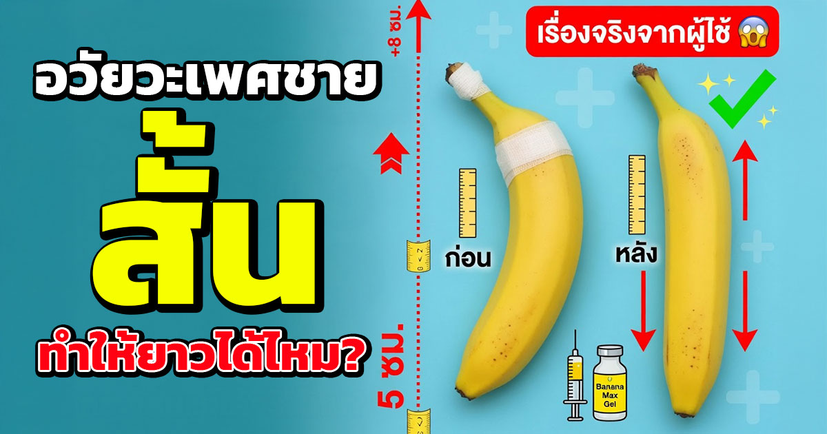 คำอธิบายรูปตามหัวข้อบทความ