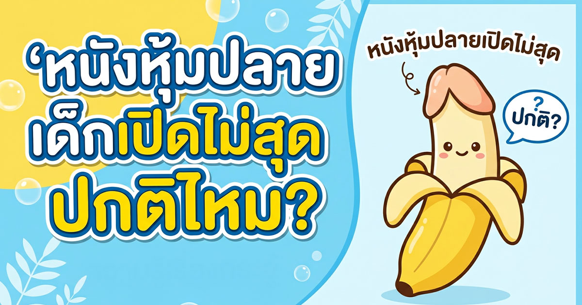 คำอธิบายรูปตามหัวข้อบทความ