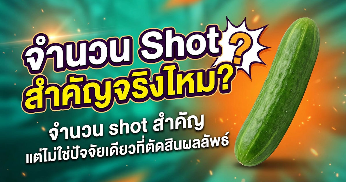 คำอธิบายรูปตามหัวข้อบทความ