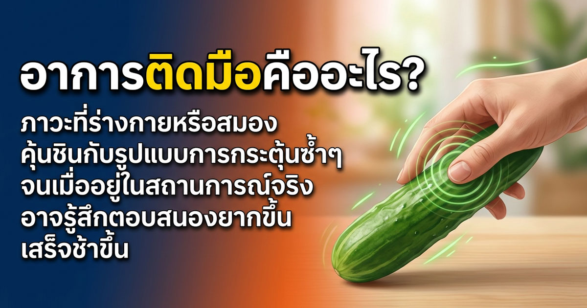 คำอธิบายรูปตามหัวข้อบทความ
