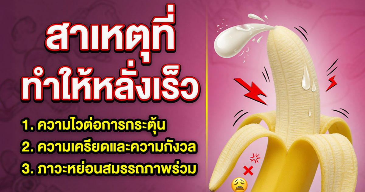 คำอธิบายรูปตามหัวข้อบทความ