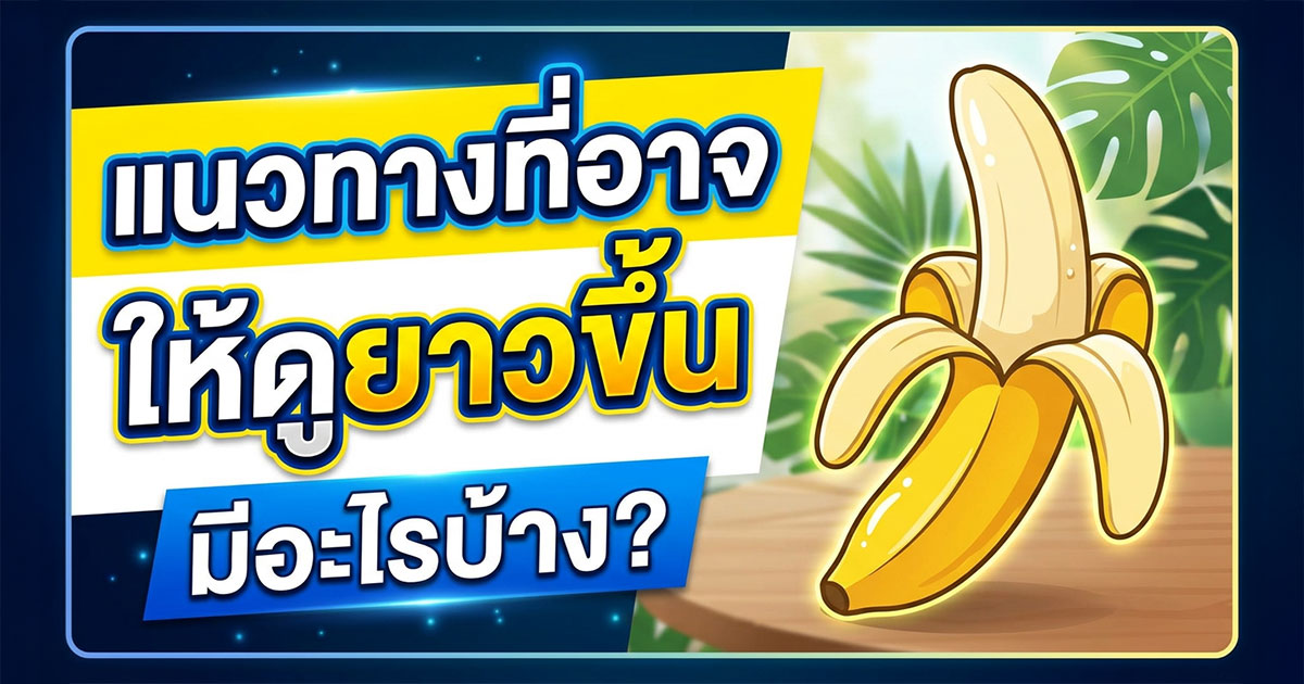 คำอธิบายรูปตามหัวข้อบทความ