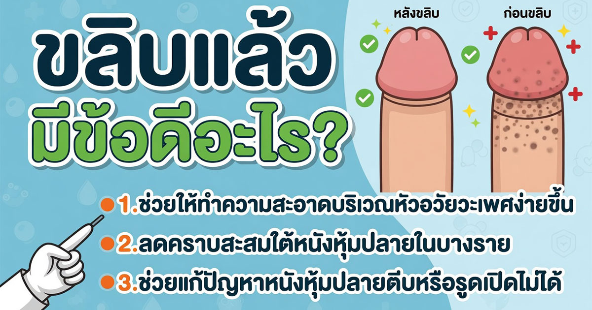คำอธิบายรูปตามหัวข้อบทความ