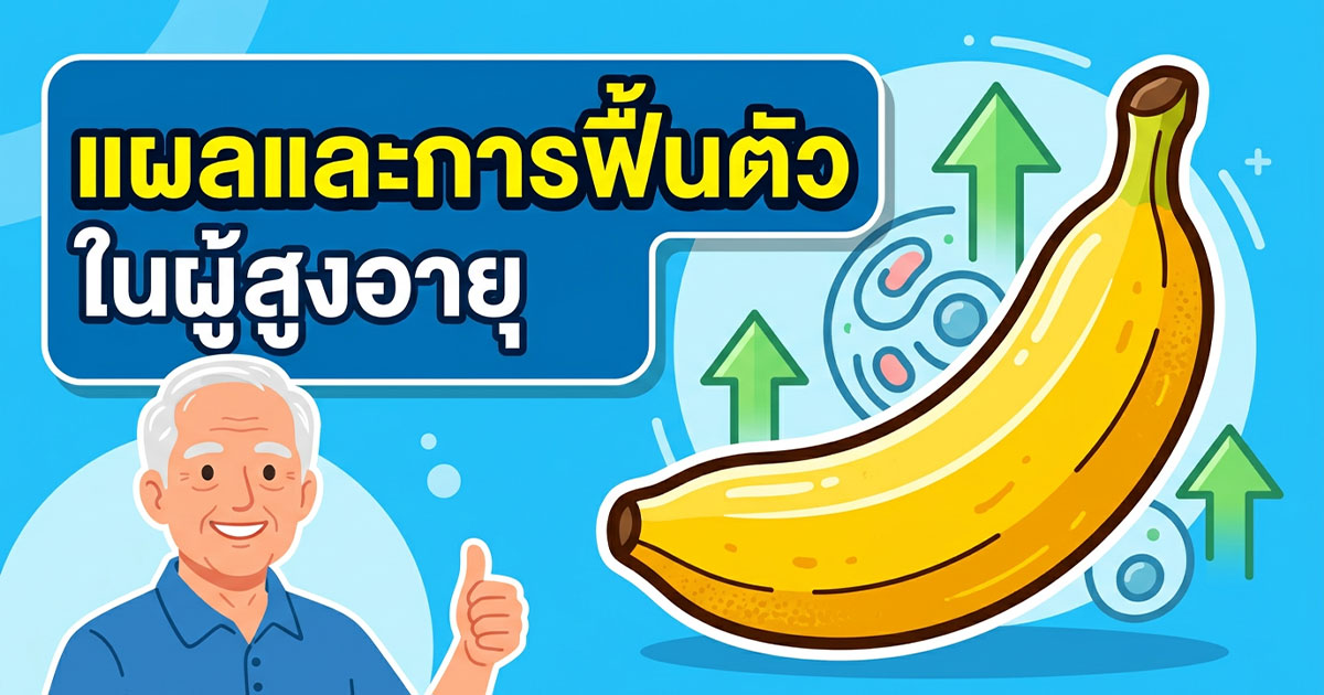 คำอธิบายรูปตามหัวข้อบทความ