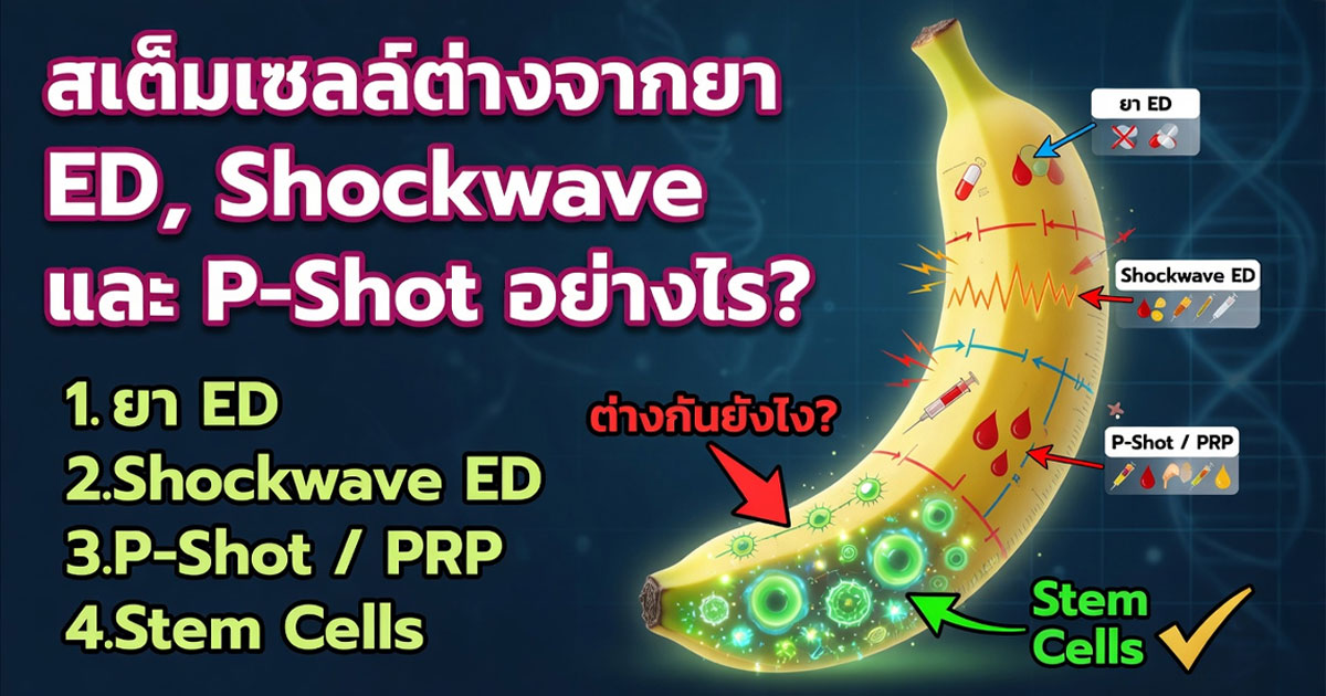คำอธิบายรูปตามหัวข้อบทความ