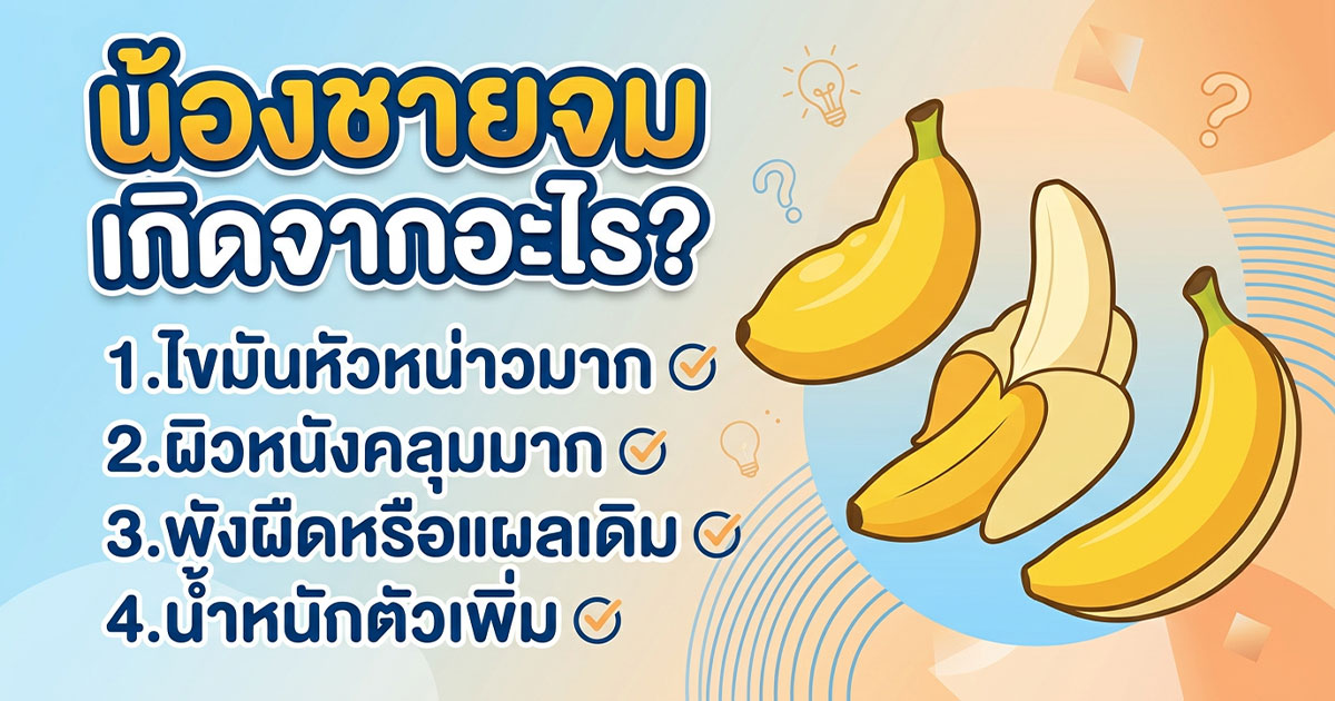 คำอธิบายรูปตามหัวข้อบทความ