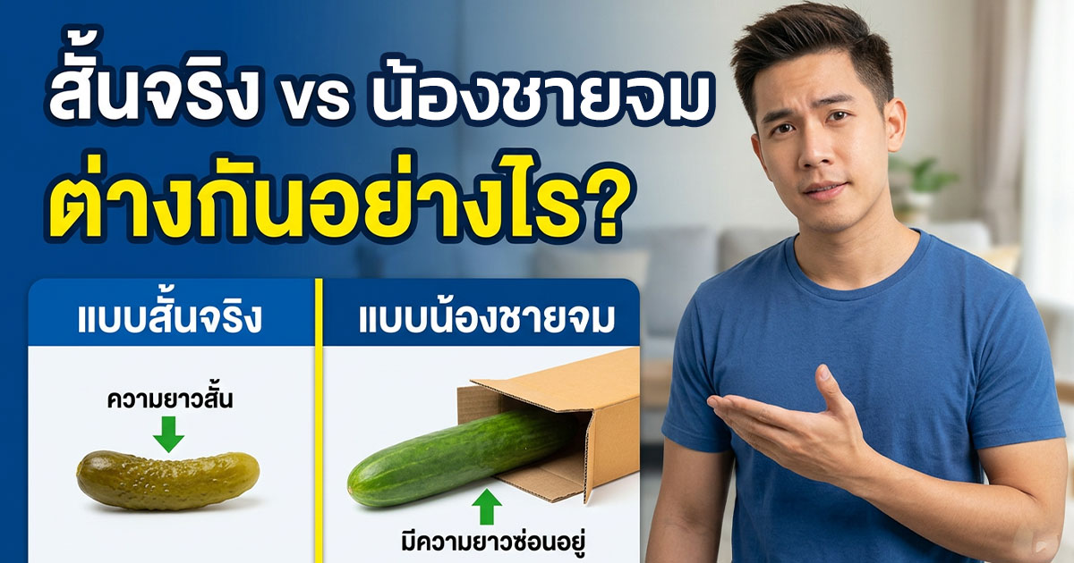 คำอธิบายรูปตามหัวข้อบทความ