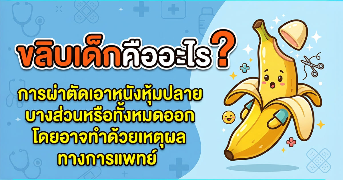 คำอธิบายรูปตามหัวข้อบทความ