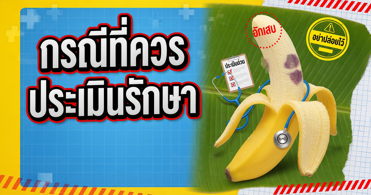 คำอธิบายรูปตามหัวข้อบทความ