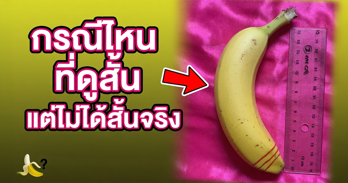 คำอธิบายรูปตามหัวข้อบทความ