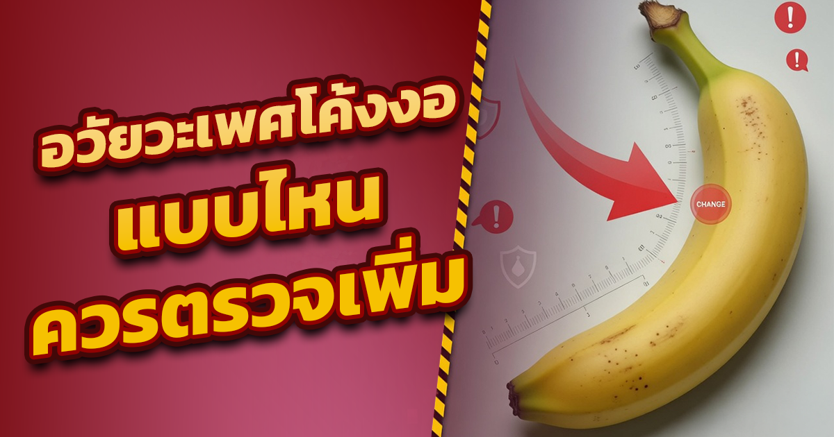 คำอธิบายรูปตามหัวข้อบทความ