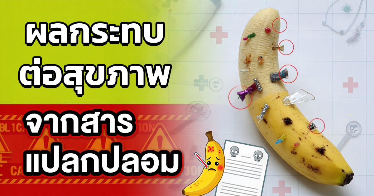 คำอธิบายรูปตามหัวข้อบทความ