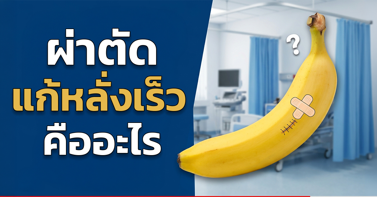 คำอธิบายรูปตามหัวข้อบทความ