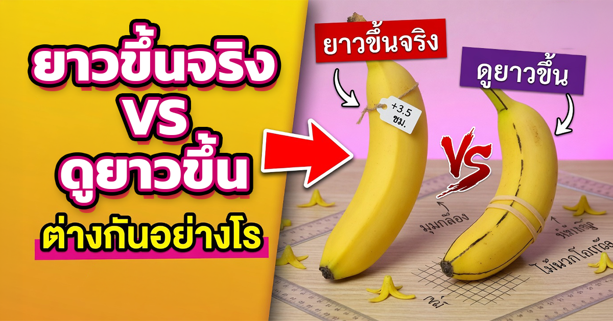 คำอธิบายรูปตามหัวข้อบทความ