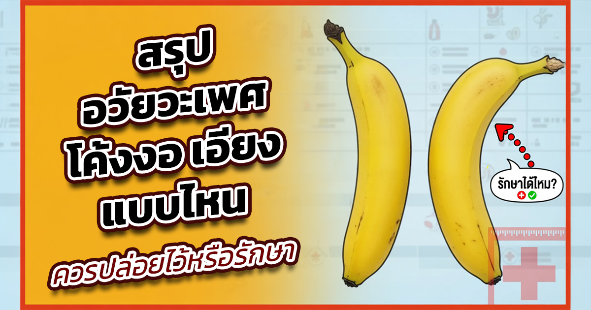 คำอธิบายรูปตามหัวข้อบทความ