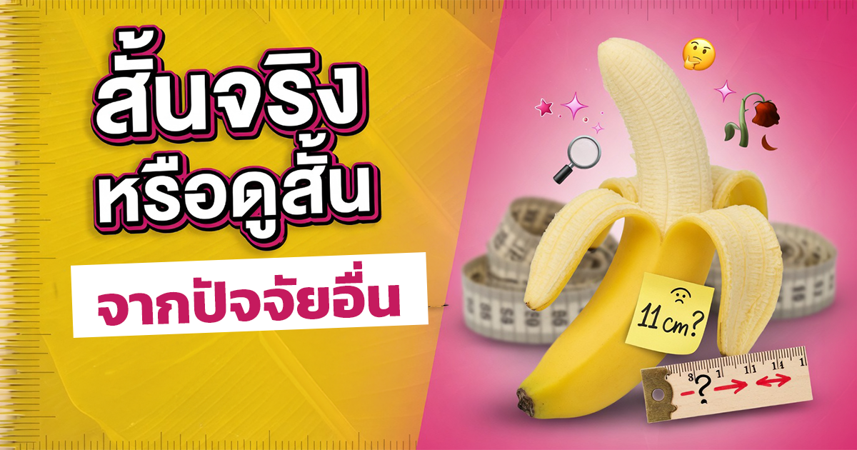 คำอธิบายรูปตามหัวข้อบทความ