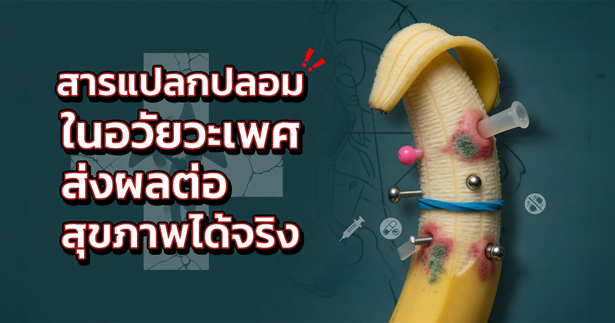 คำอธิบายรูปตามหัวข้อบทความ
