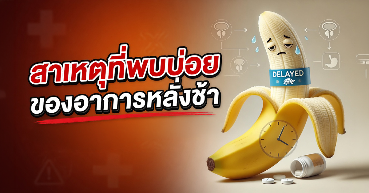 คำอธิบายรูปตามหัวข้อบทความ