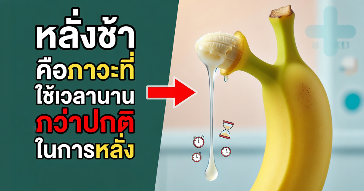 คำอธิบายรูปตามหัวข้อบทความ