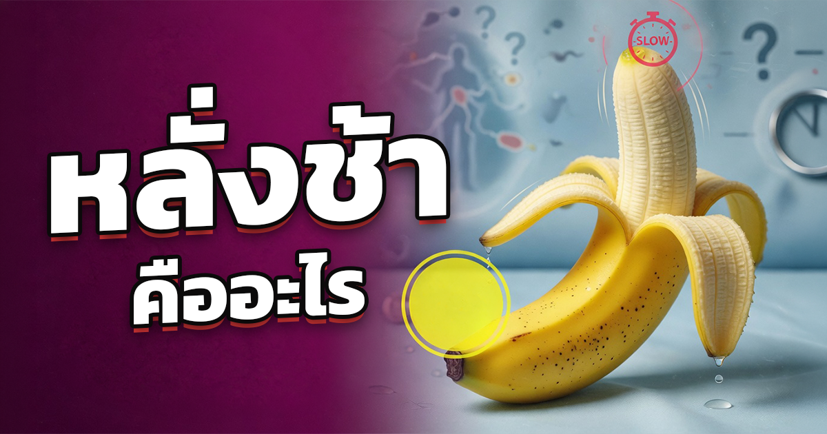 คำอธิบายรูปตามหัวข้อบทความ