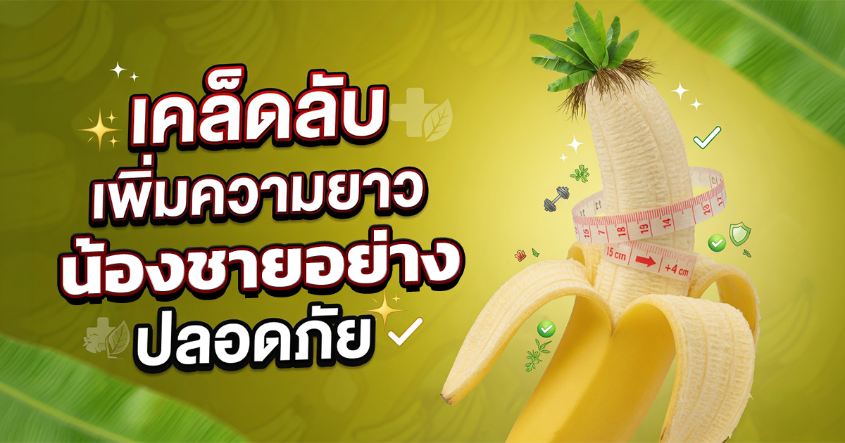 คำอธิบายรูปตามหัวข้อบทความ