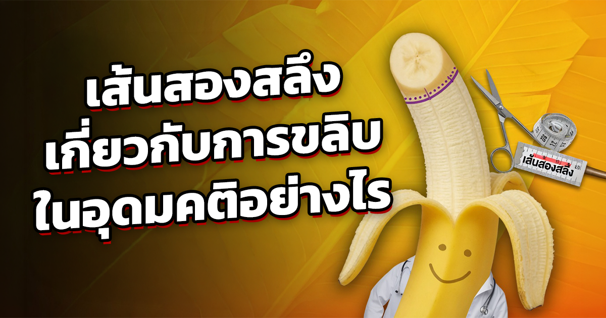 คำอธิบายรูปตามหัวข้อบทความ