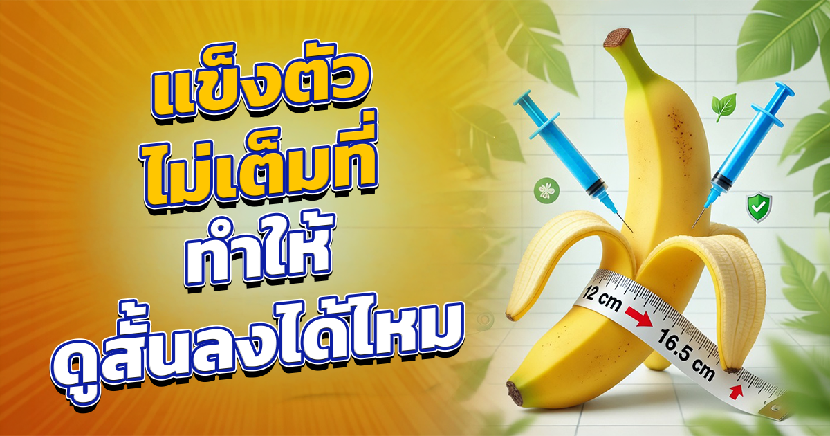 คำอธิบายรูปตามหัวข้อบทความ