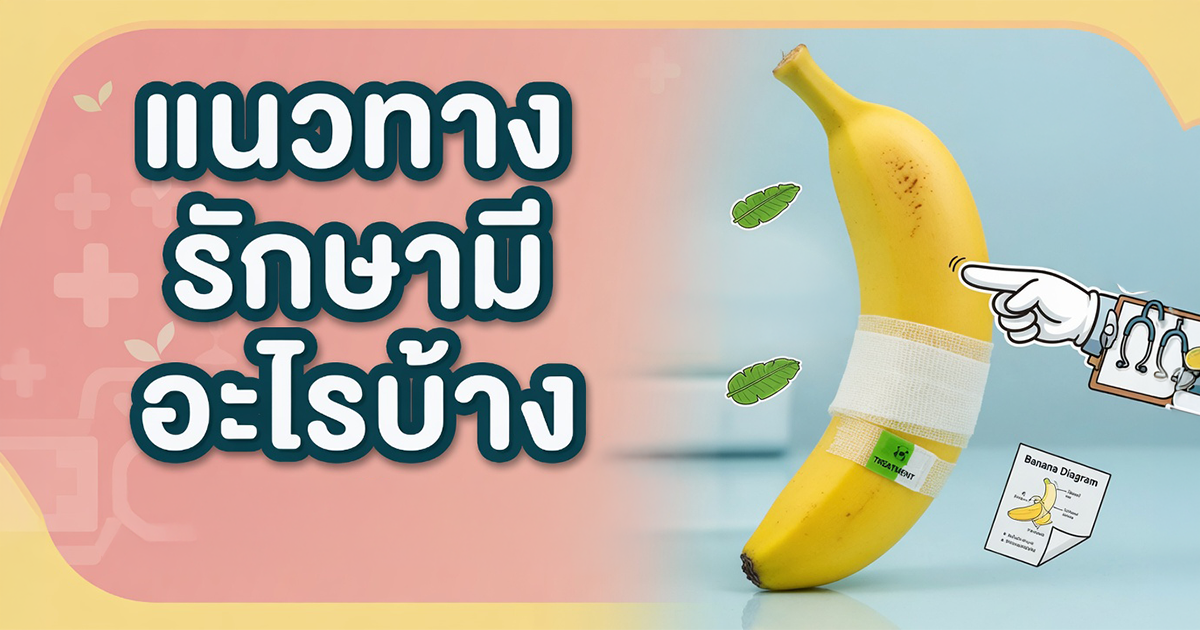 คำอธิบายรูปตามหัวข้อบทความ