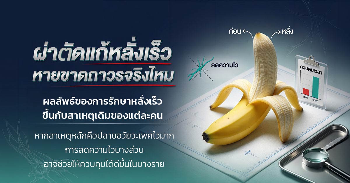 คำอธิบายรูปตามหัวข้อบทความ