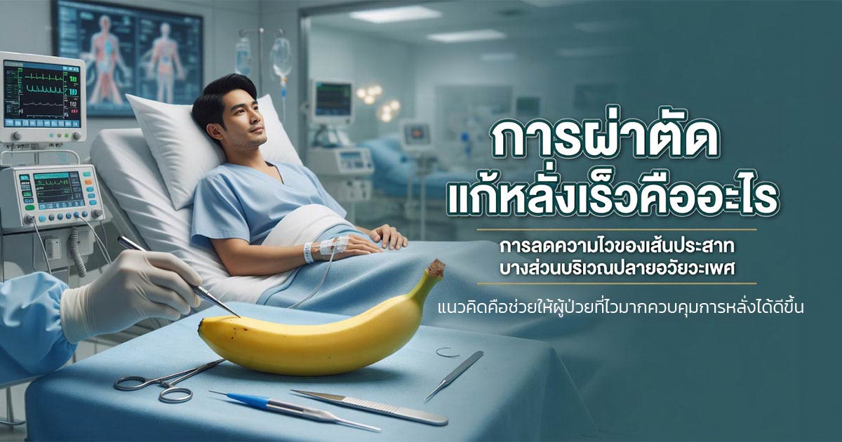 คำอธิบายรูปตามหัวข้อบทความ