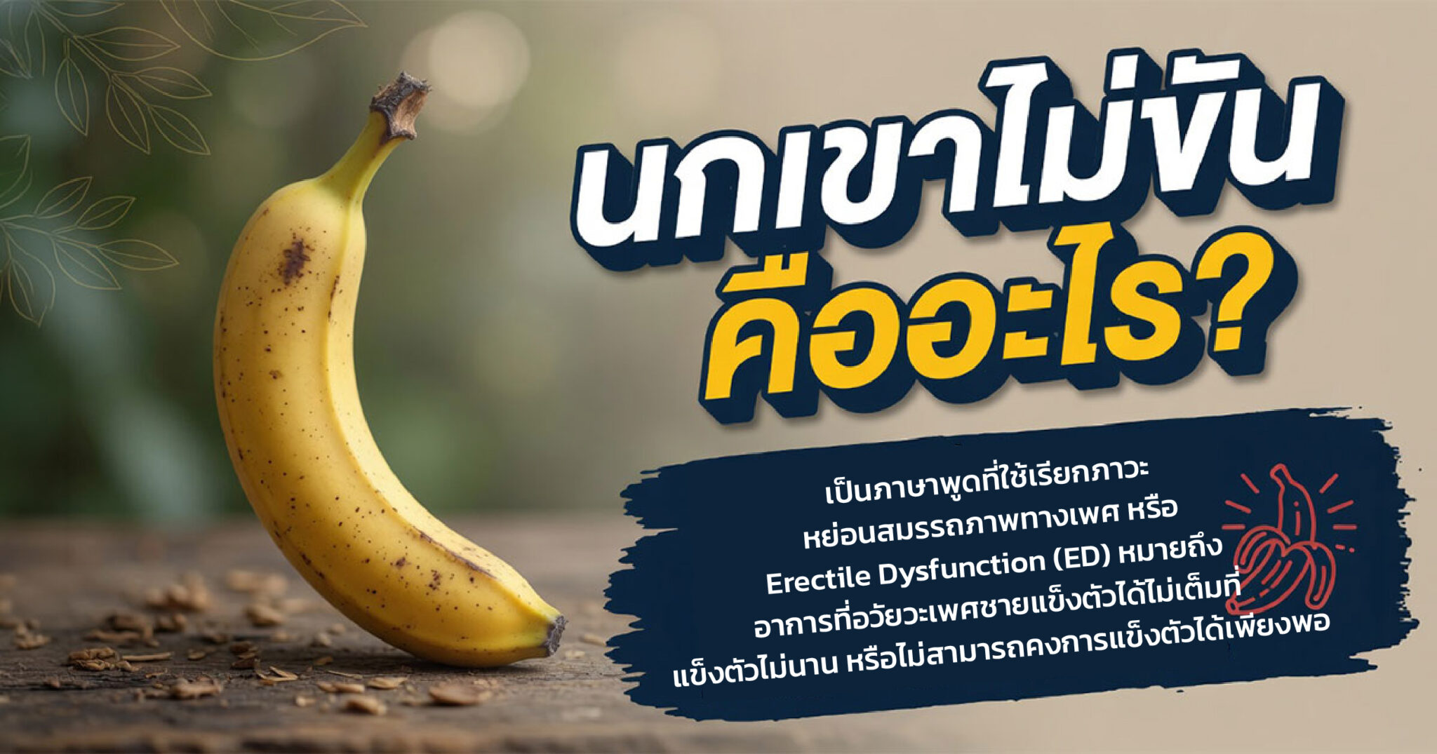 คำอธิบายรูปตามหัวข้อบทความ